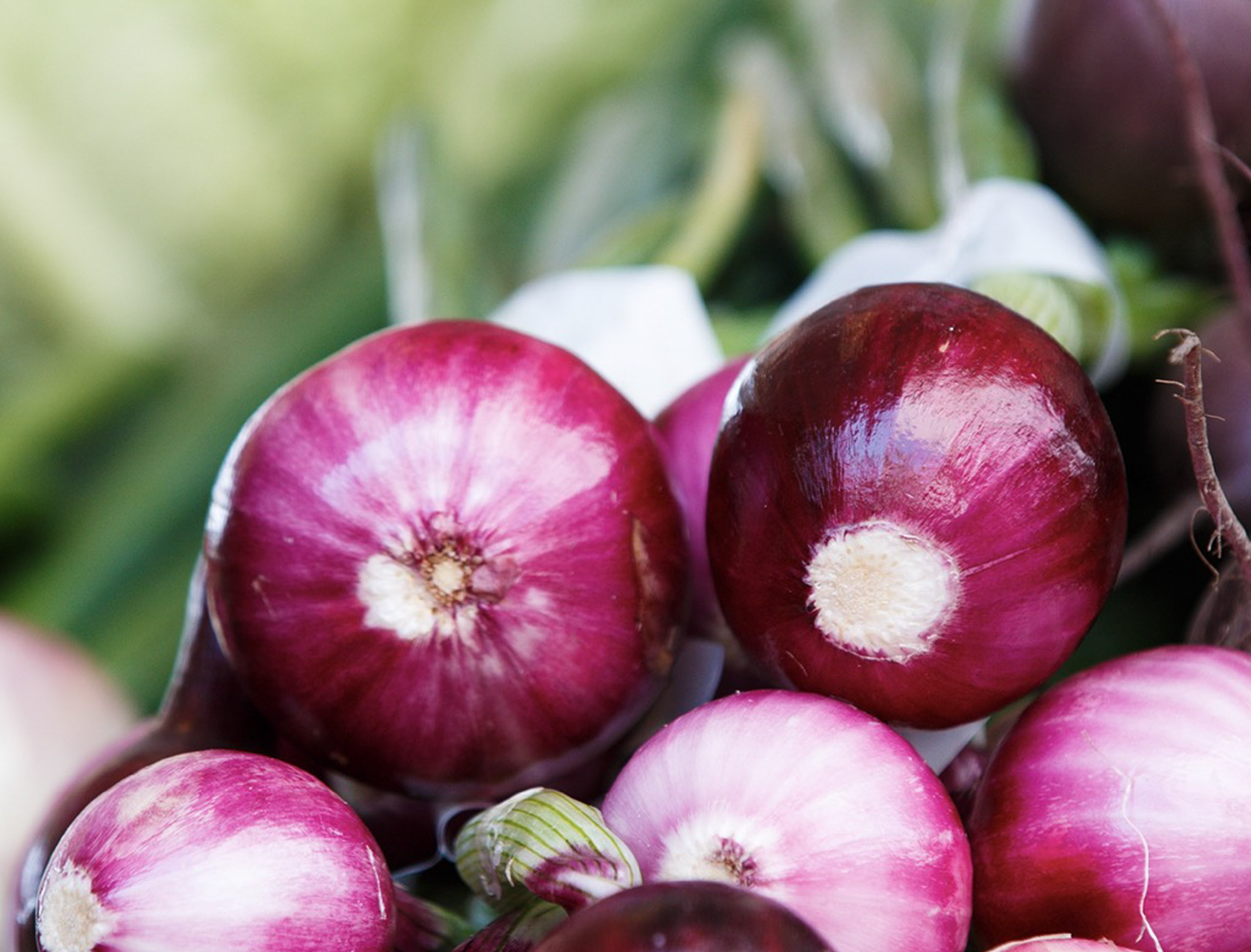 Top-Best Seeds-in Uganda